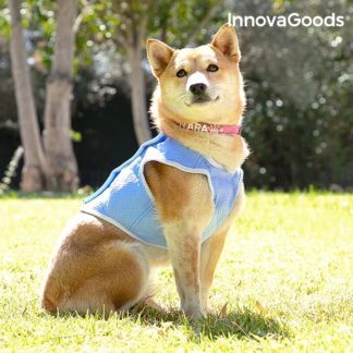 Малка охлаждаща жилетка за кучета InnovaGoods - S размер