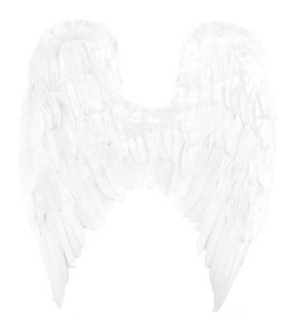 Ангелски крила от истински пера, изглеждащи напълно реалистично